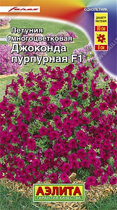 Джоконда пурпурная F1 7шт