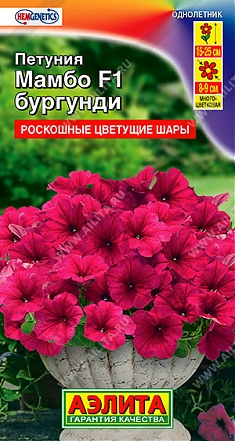 Мамбо бургунди F1 7шт