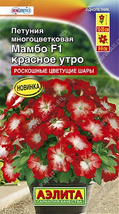 Мамбо красное утро F1 7шт