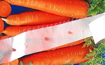 Морковь лента