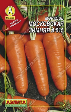 Московская зимняя 15 