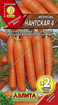 Нантская 4 (4 гр)
