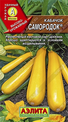 Самародок 1г