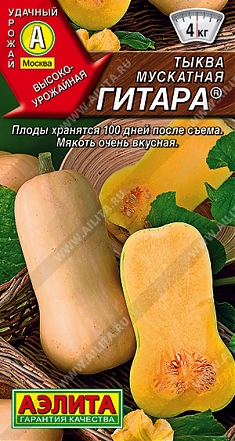Гитара 1г