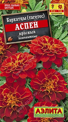 Аспен