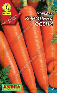 Королева осени 300шт